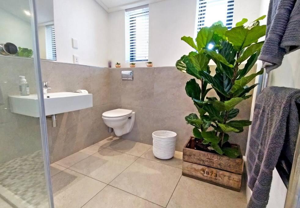 Central Modern Studio Apartment, Hermanus Waterfront Exterior photo
